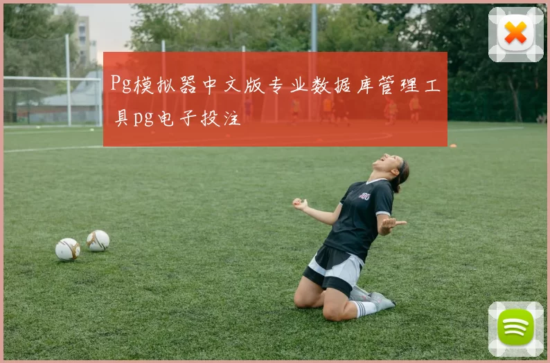 Pg模拟器中文版专业数据库管理工具pg电子投注