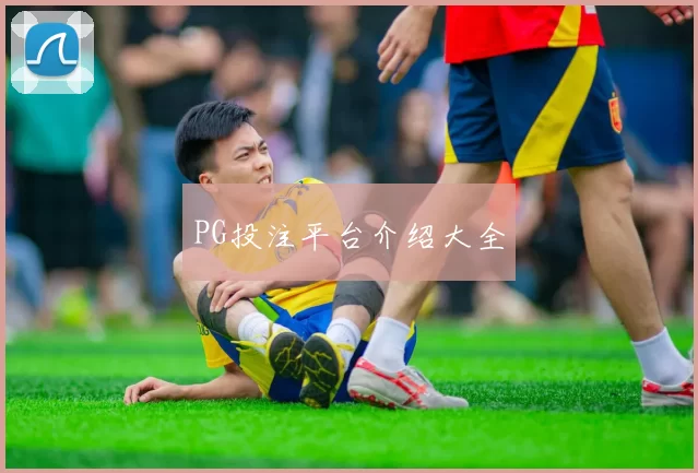 PG投注平台介绍大全