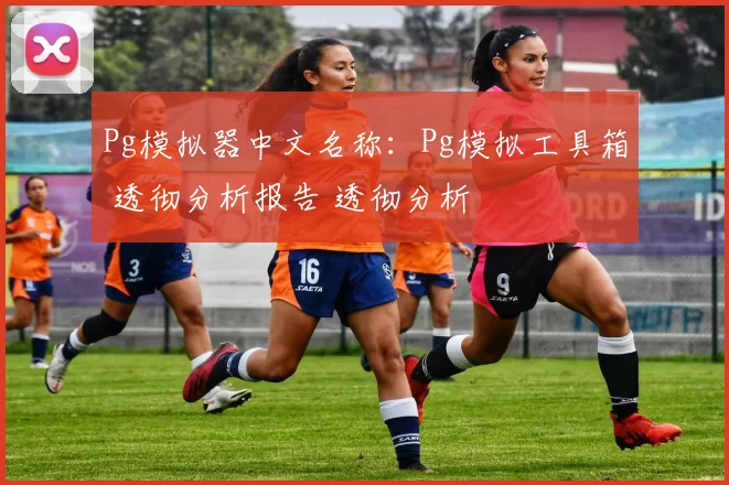 Pg模拟器中文名称：Pg模拟工具箱 透彻分析报告 透彻分析