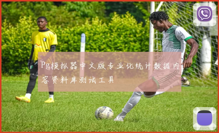 Pg模拟器中文版专业化统计数据内容资料库测试工具