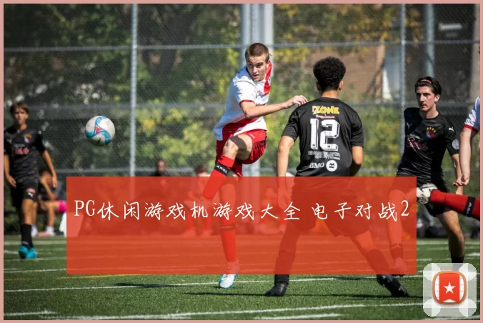 PG休闲游戏机游戏大全 电子对战2