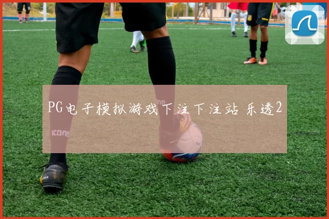 PG电子模拟游戏下注下注站 乐透2