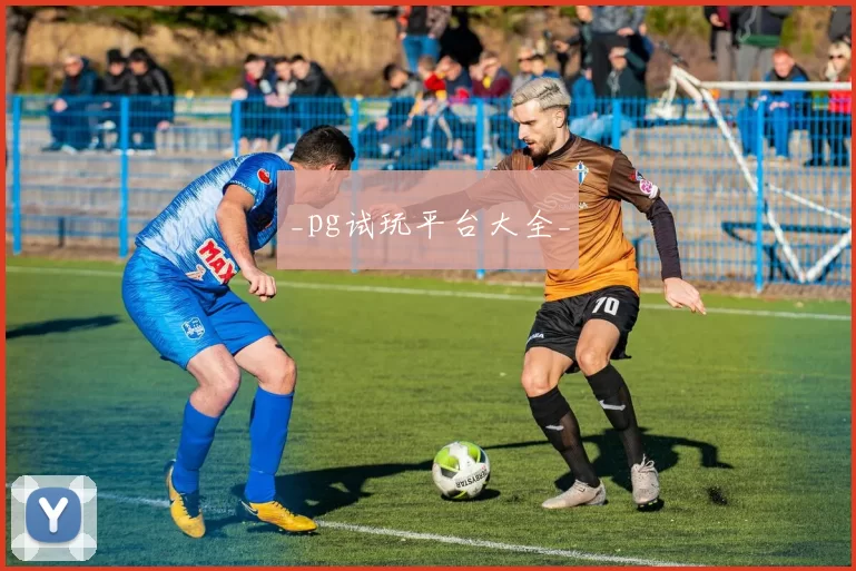 _pg试玩平台大全_