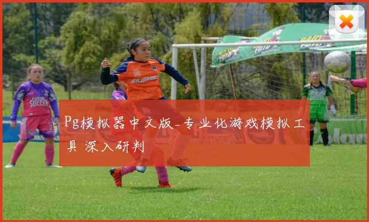 Pg模拟器中文版_专业化游戏模拟工具 深入研判
