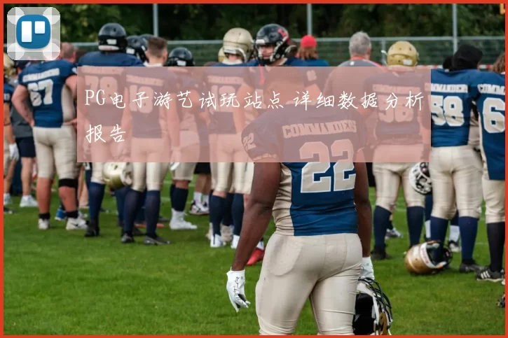 PG电子游艺试玩站点 详细数据分析报告