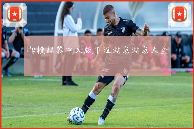 Pg模拟器中文版下注站点站点大全